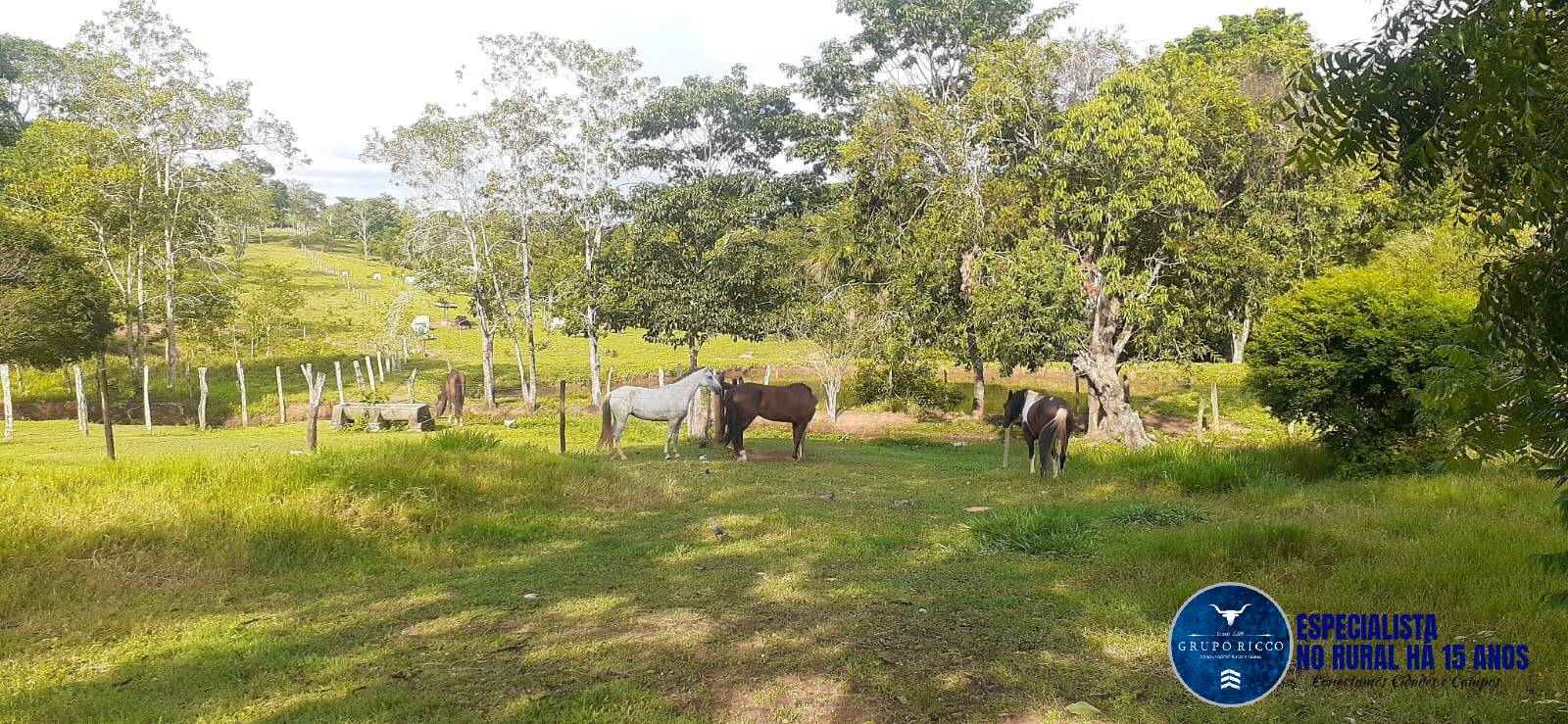 Terreno à venda, 14m² - Foto 2