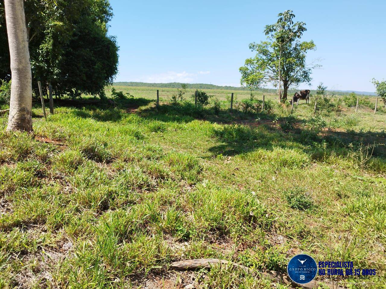 Terreno à venda, 14m² - Foto 4