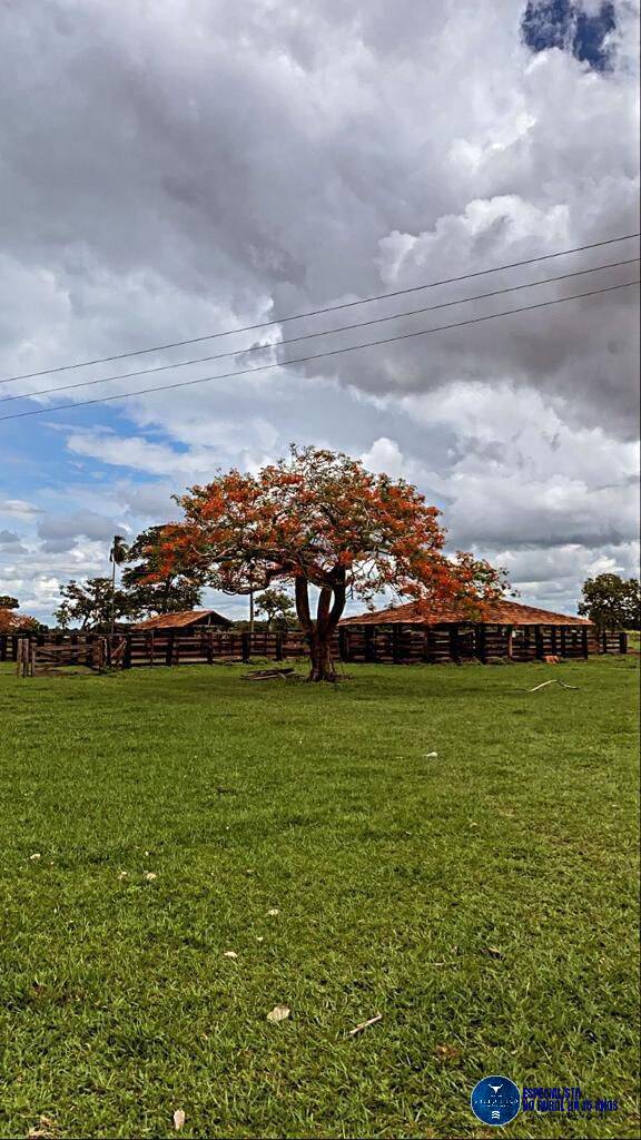 Terreno à venda, 447m² - Foto 1