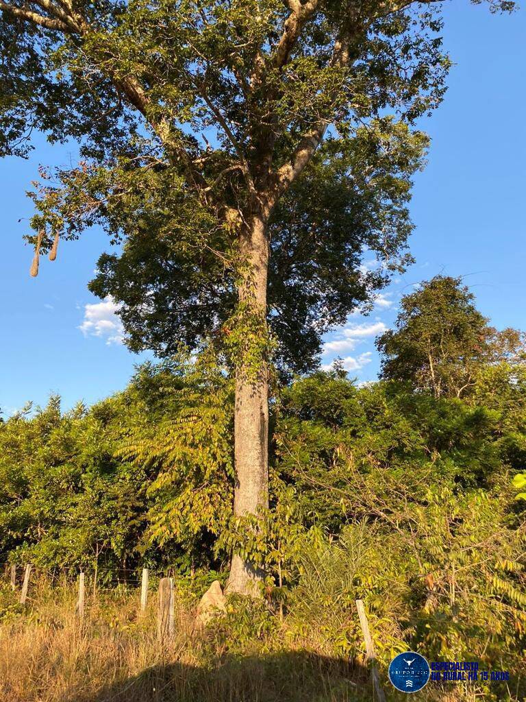 Terreno à venda, 447m² - Foto 3