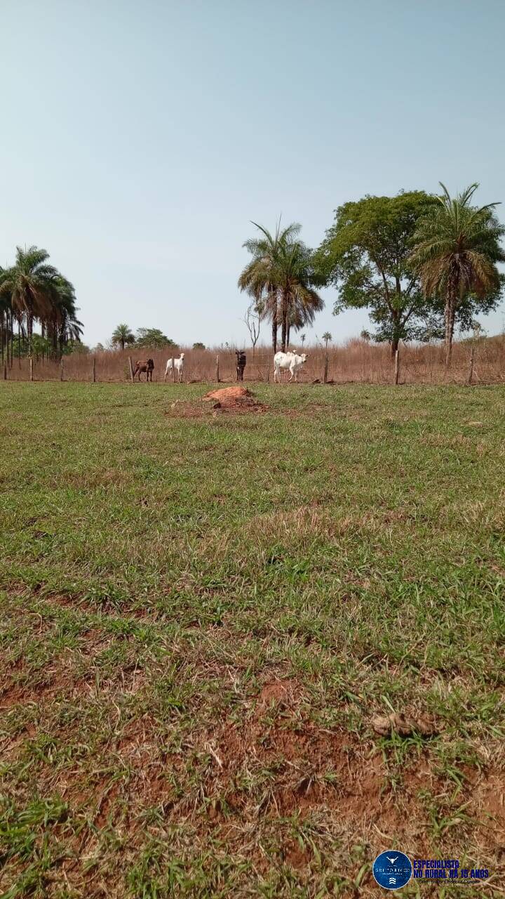 Terreno à venda, 9m² - Foto 4