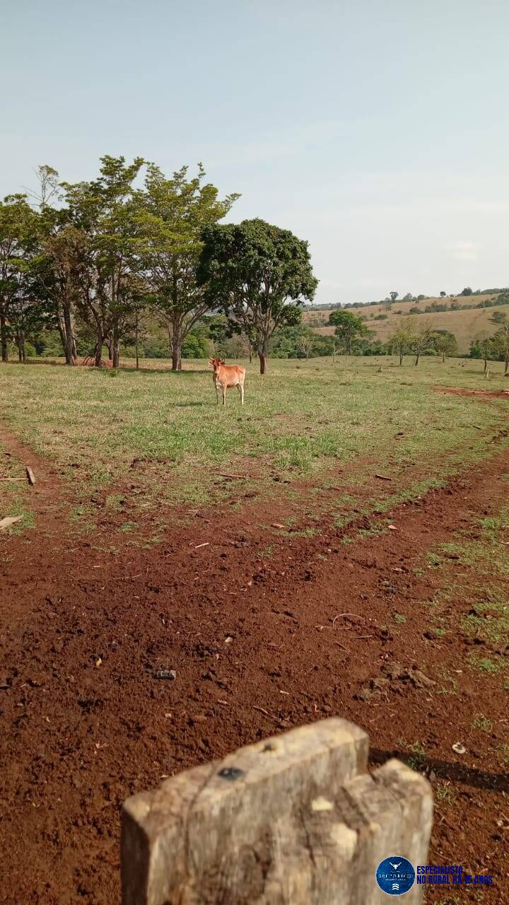 Terreno à venda, 9m² - Foto 11