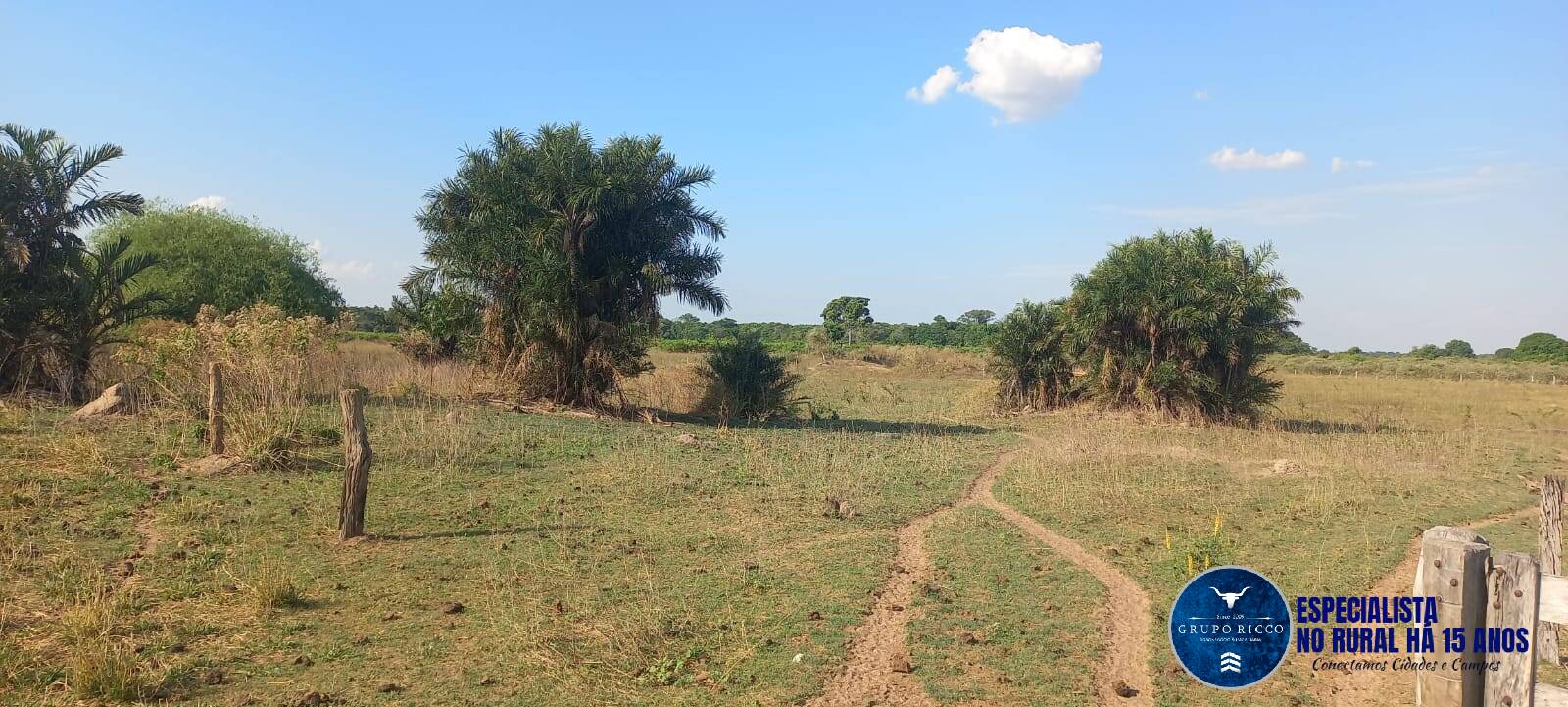 Terreno à venda, 300m² - Foto 6