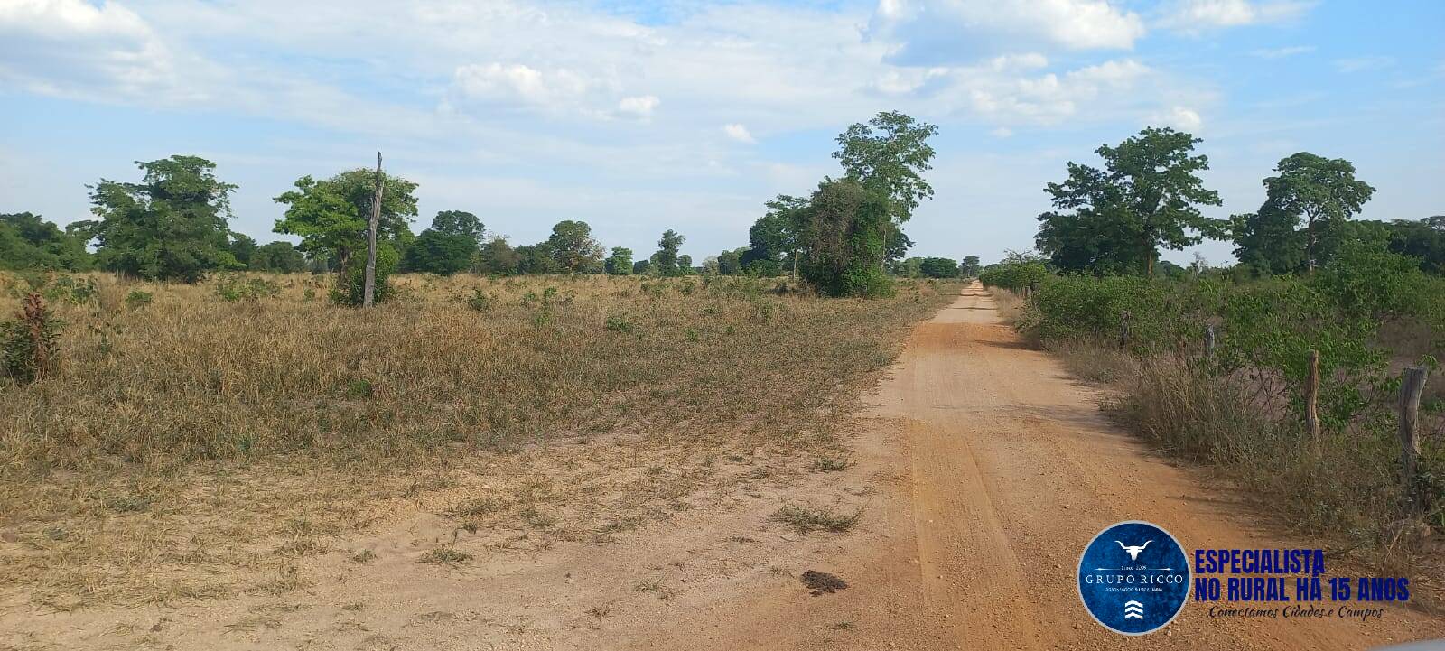 Terreno à venda, 300m² - Foto 5