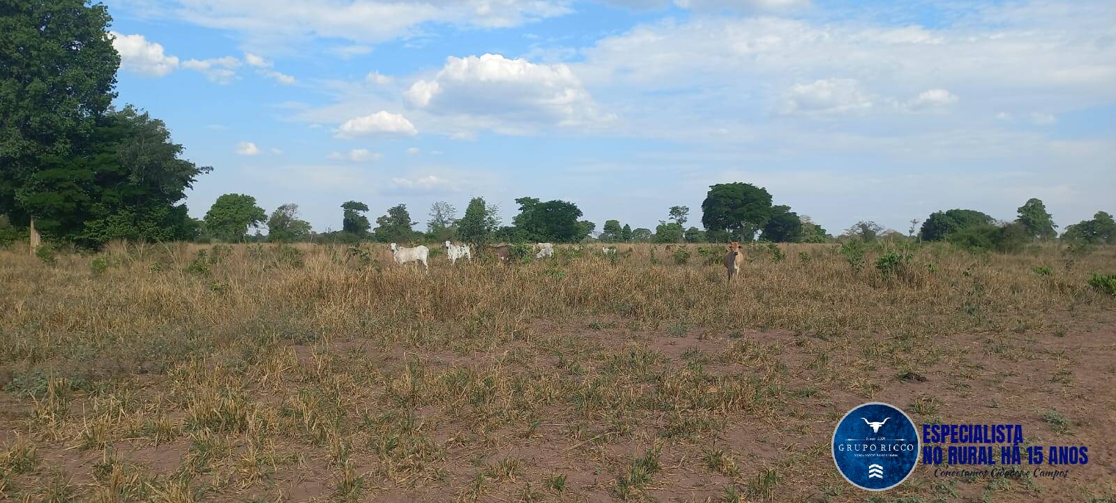 Terreno à venda, 300m² - Foto 10