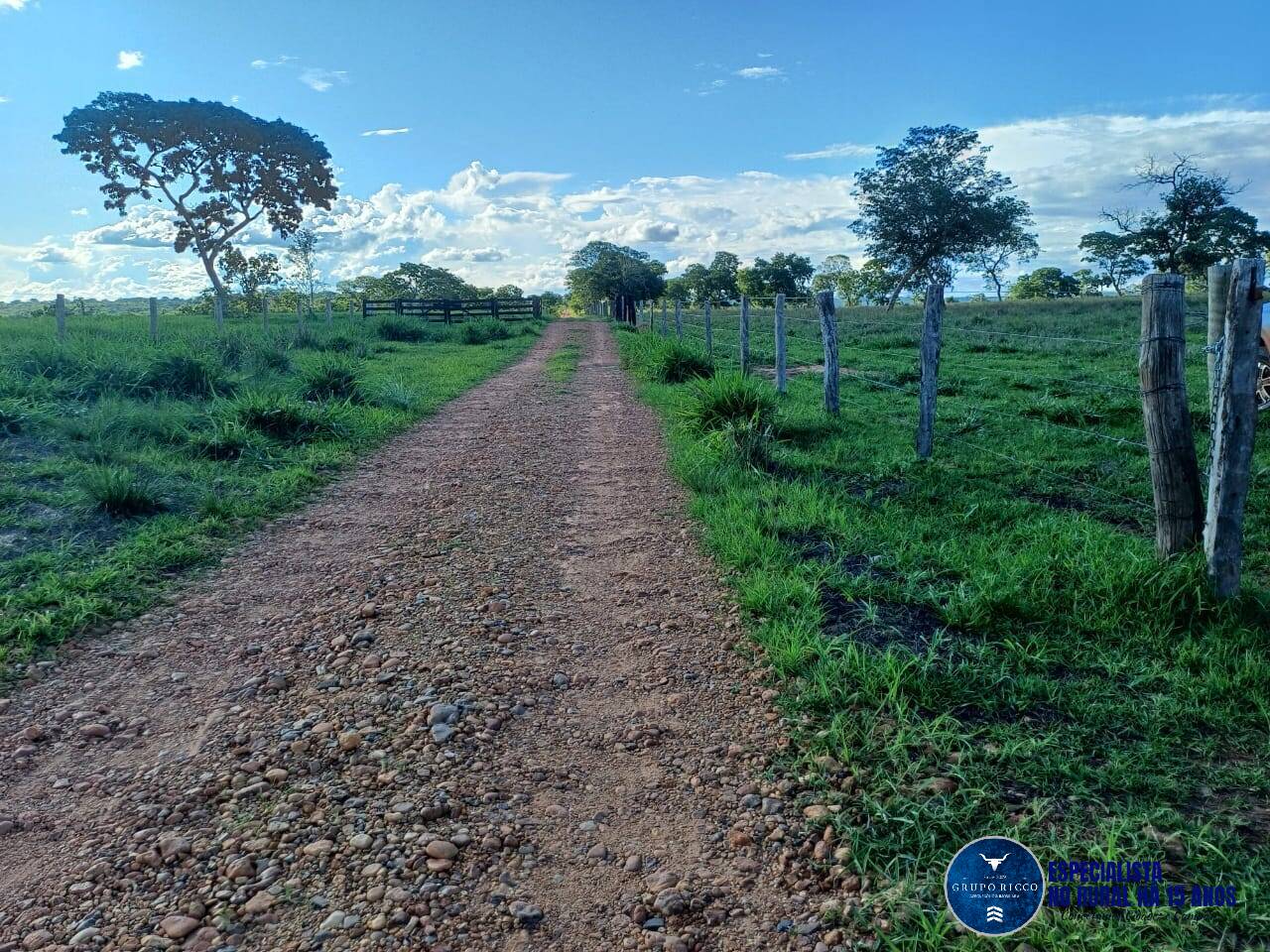 Terreno à venda, 148m² - Foto 12