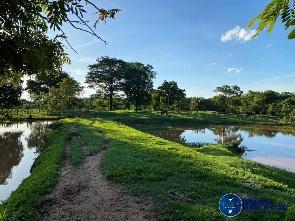 Terreno à venda, 90m² - Foto 1