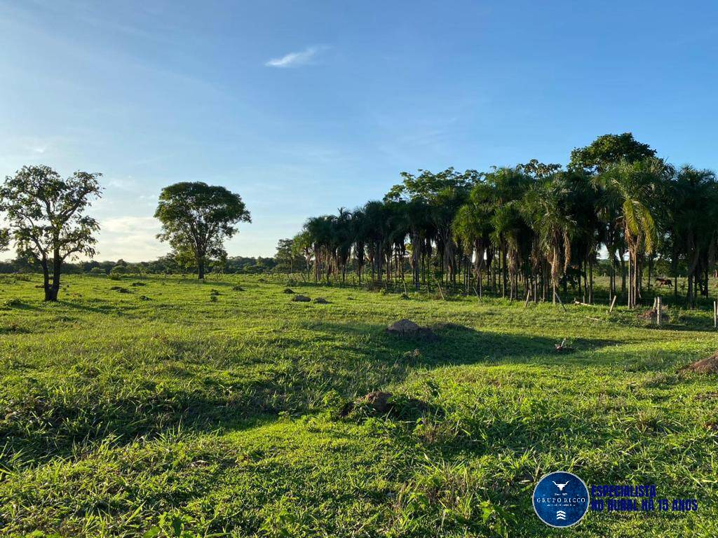 Terreno à venda, 90m² - Foto 6