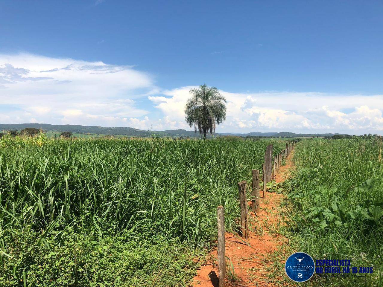 Terreno à venda - Foto 7