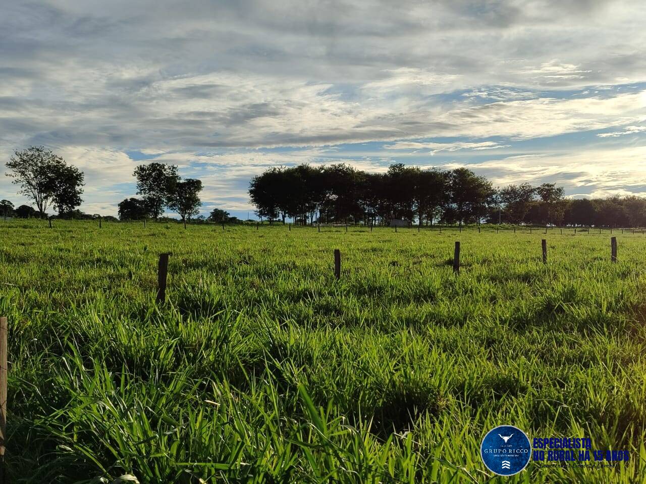 Terreno à venda, 8m² - Foto 1