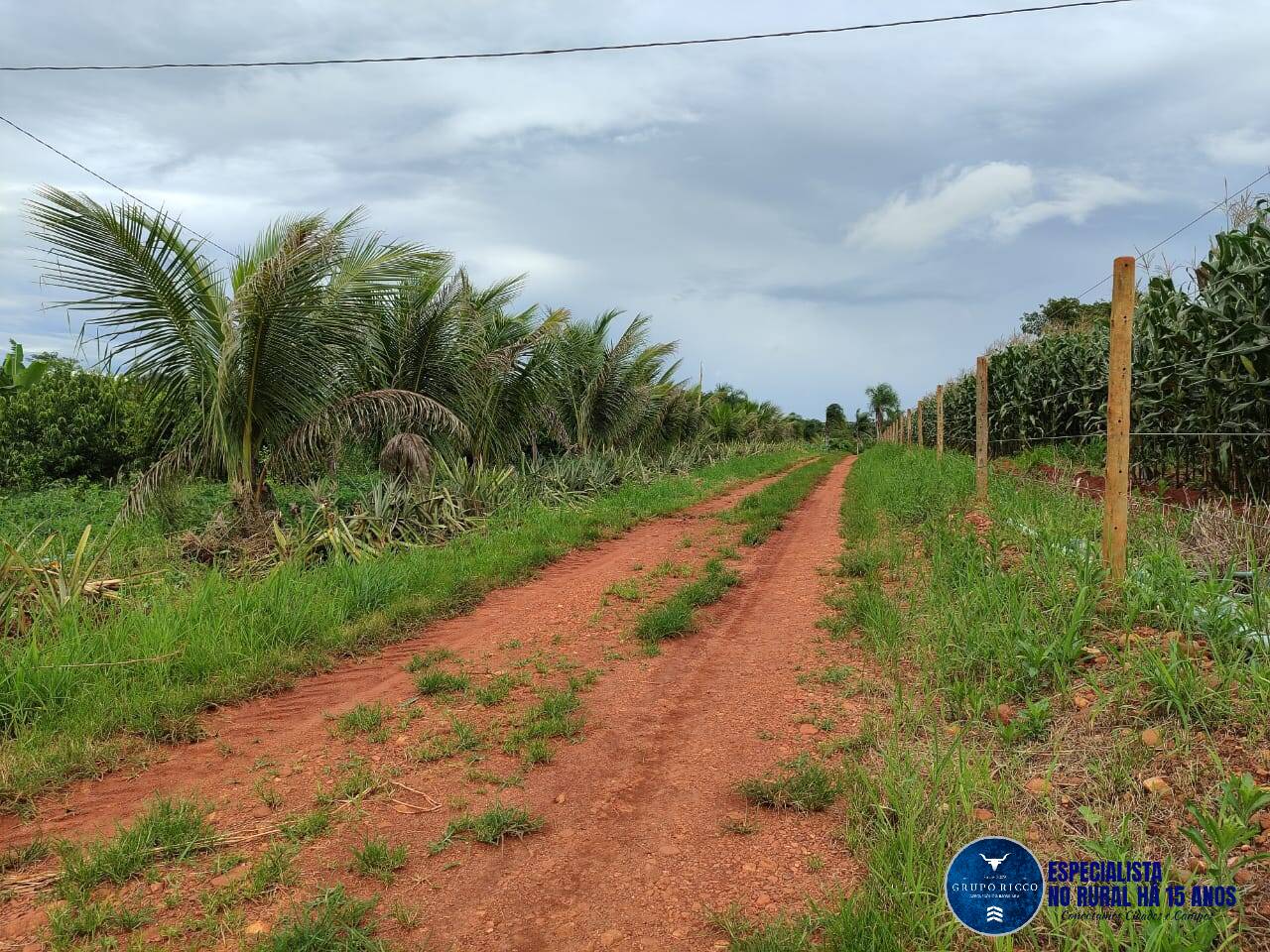 Terreno à venda, 8m² - Foto 6