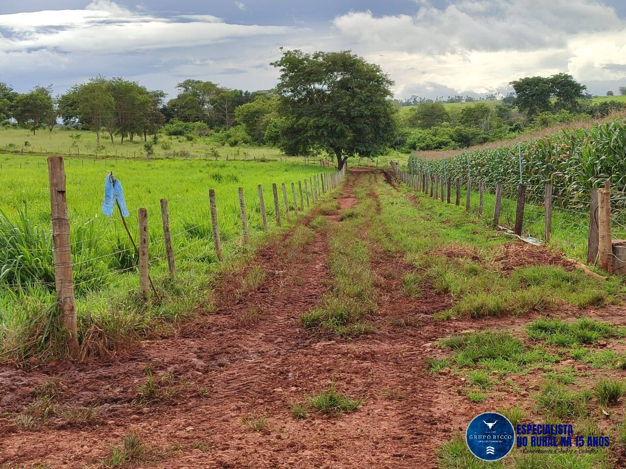 Terreno à venda, 8m² - Foto 9