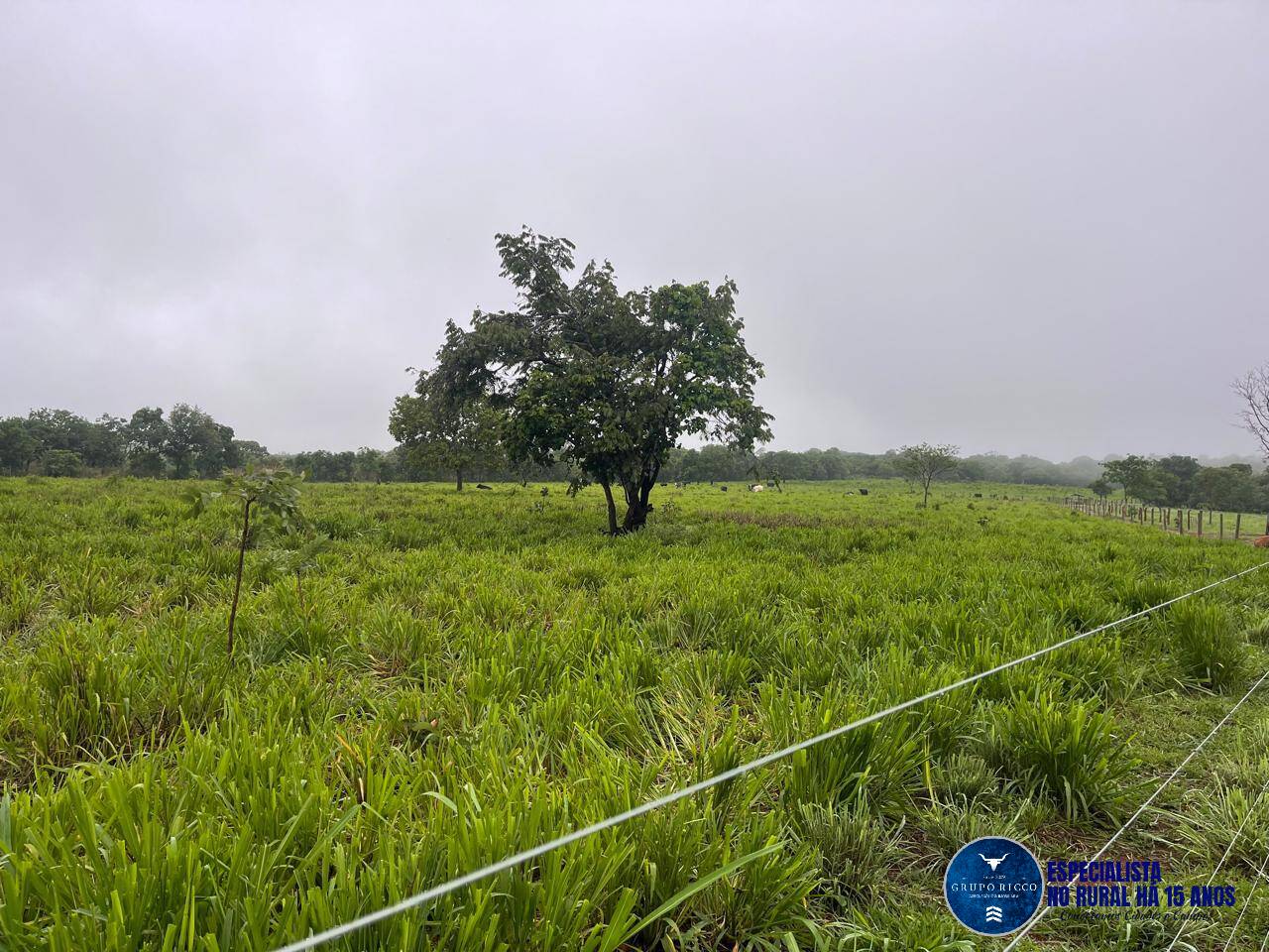 Terreno à venda, 8m² - Foto 5