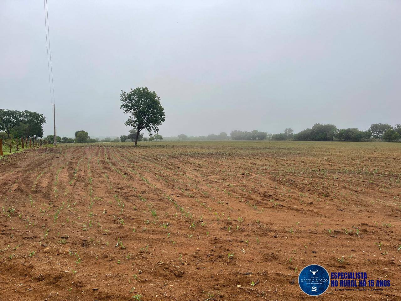 Terreno à venda, 8m² - Foto 1