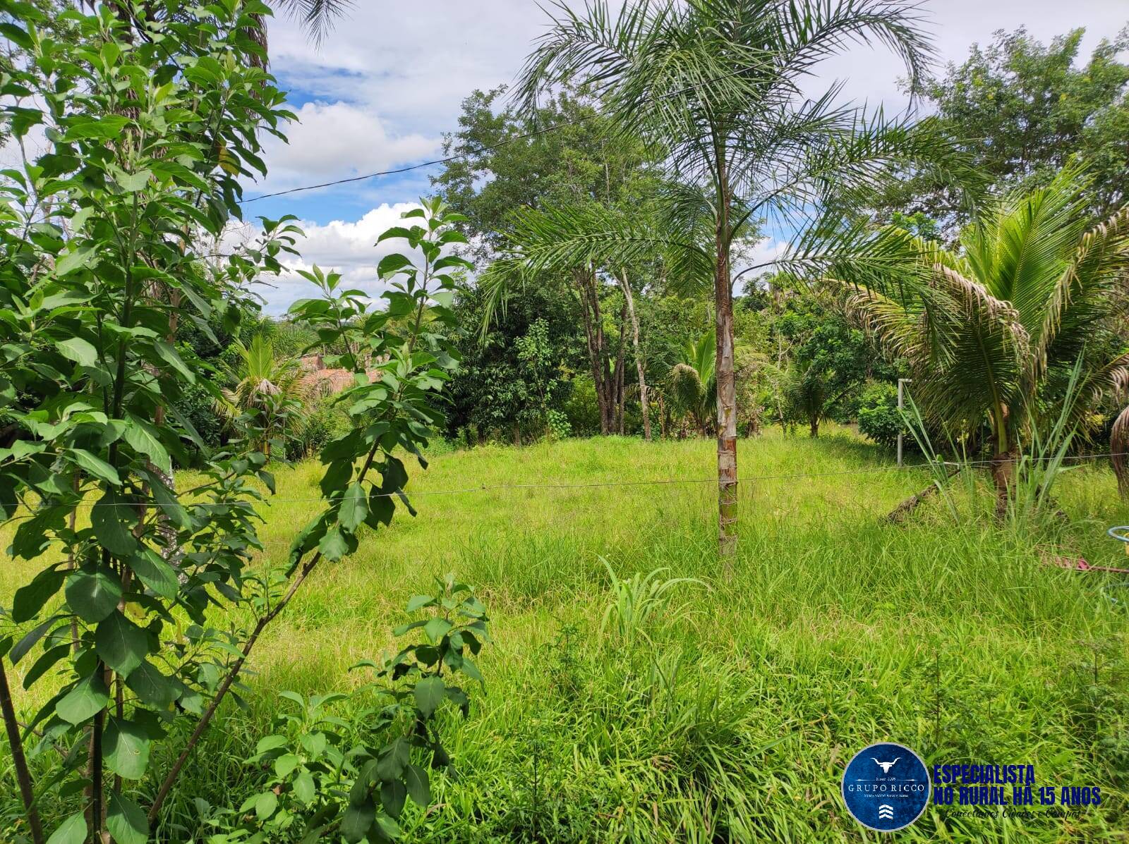 Terreno à venda, 7000m² - Foto 3