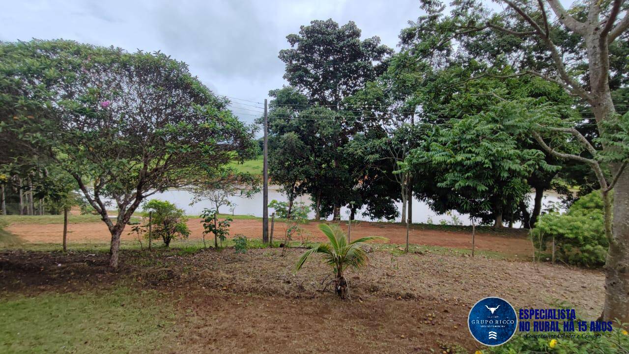 Fazenda à venda com 4 quartos, 2000m² - Foto 6