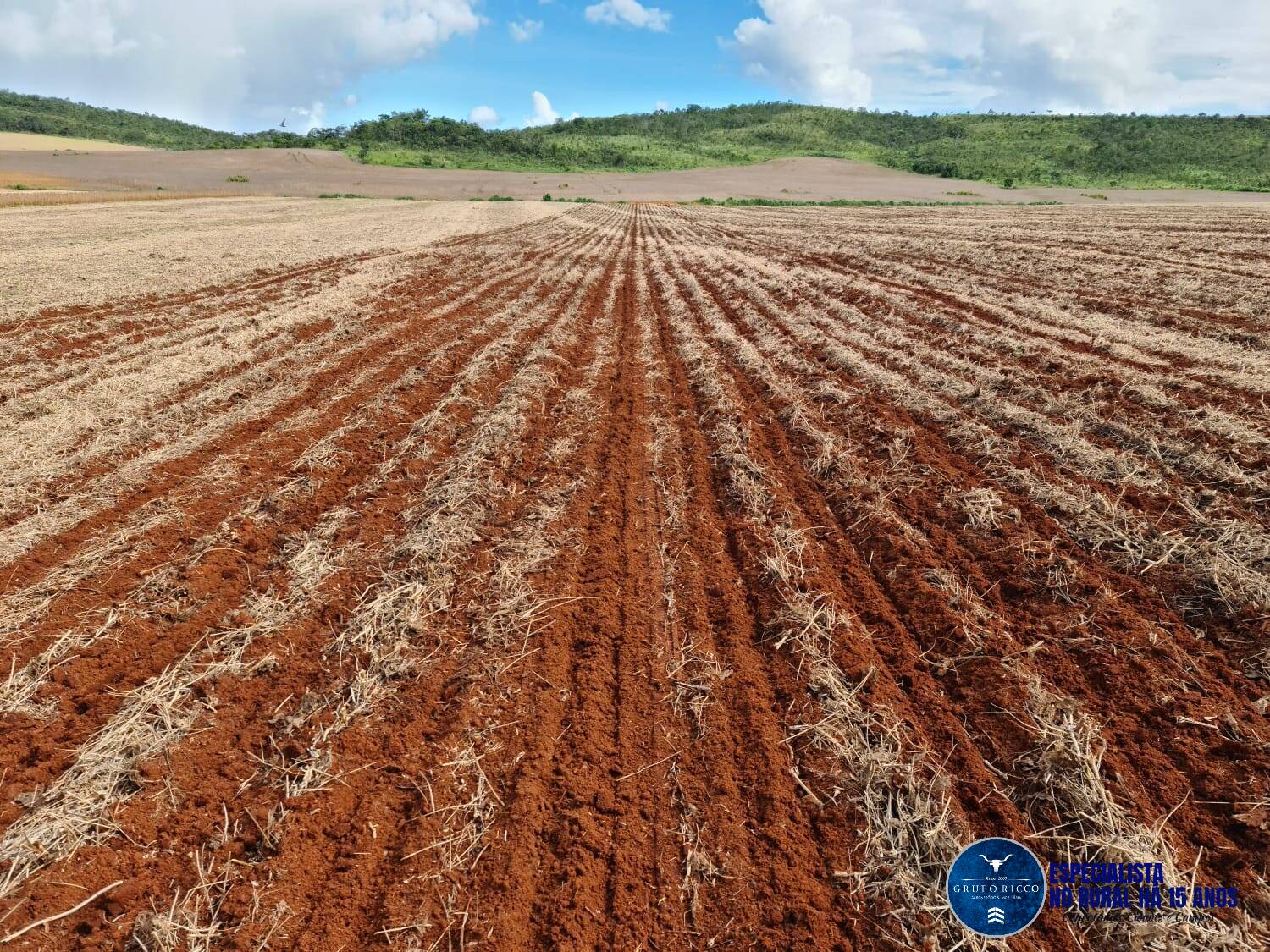 Terreno à venda, 1349m² - Foto 3