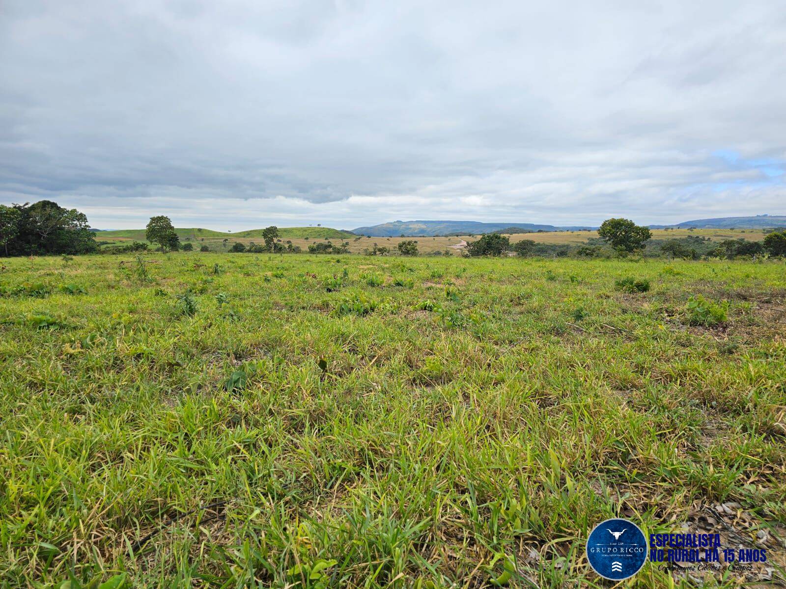 Terreno à venda, 1900m² - Foto 5