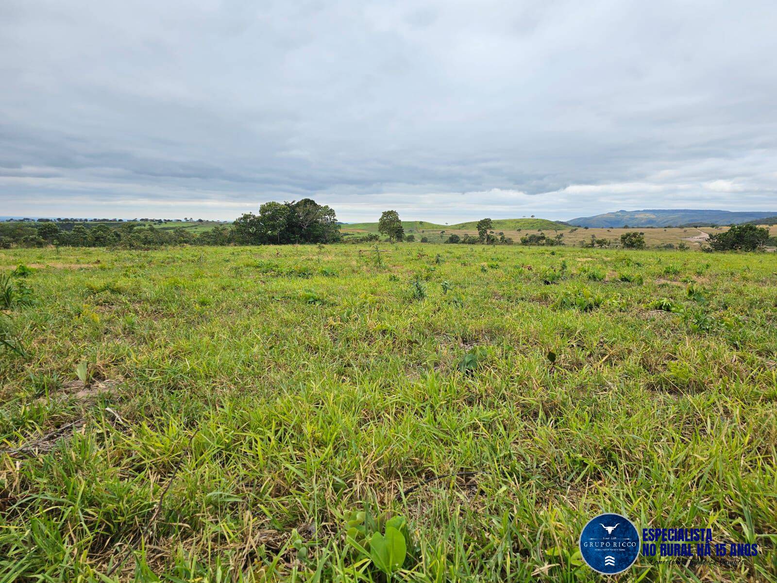 Terreno à venda, 1900m² - Foto 3