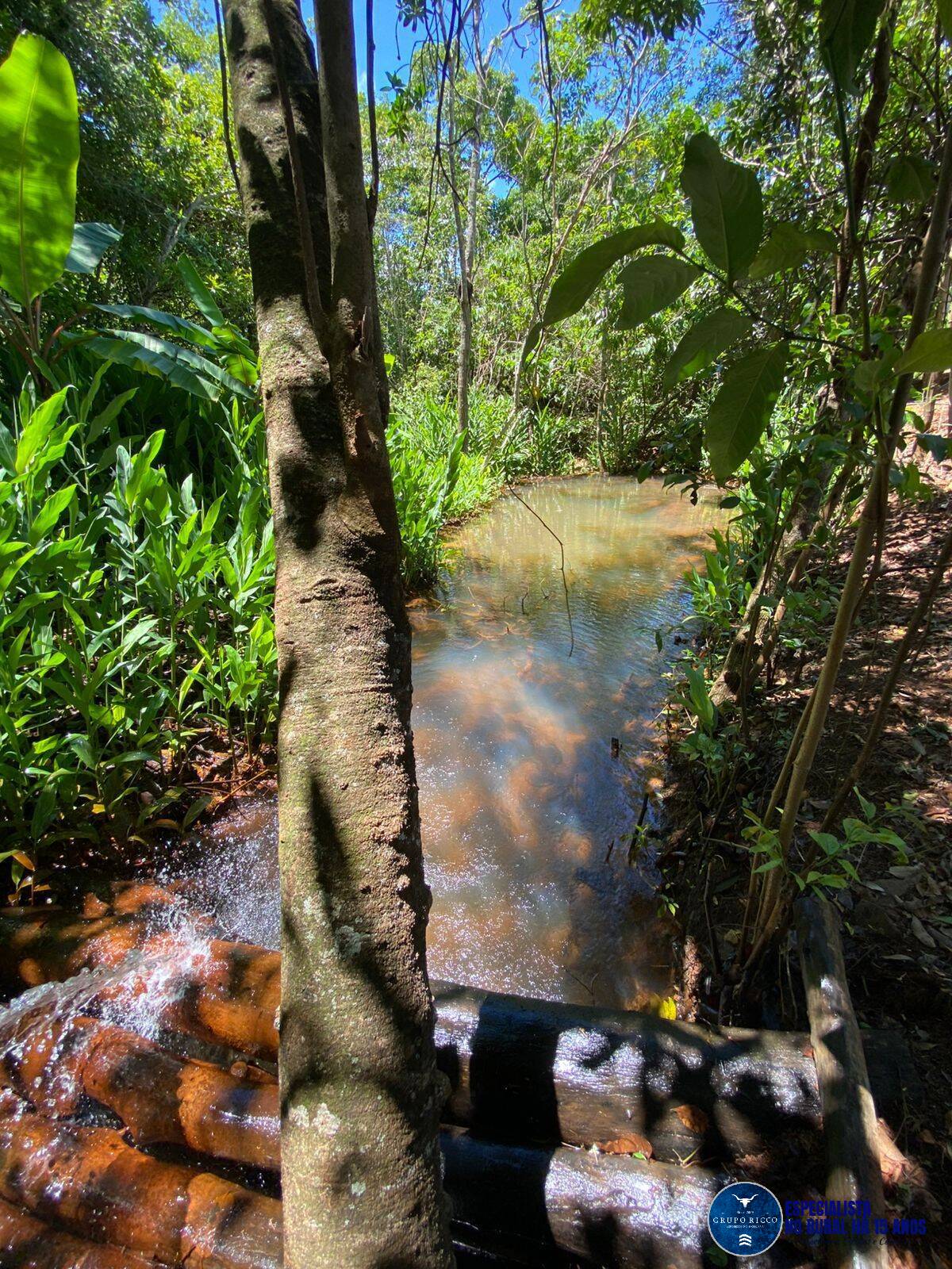 Terreno à venda, 4000m² - Foto 2