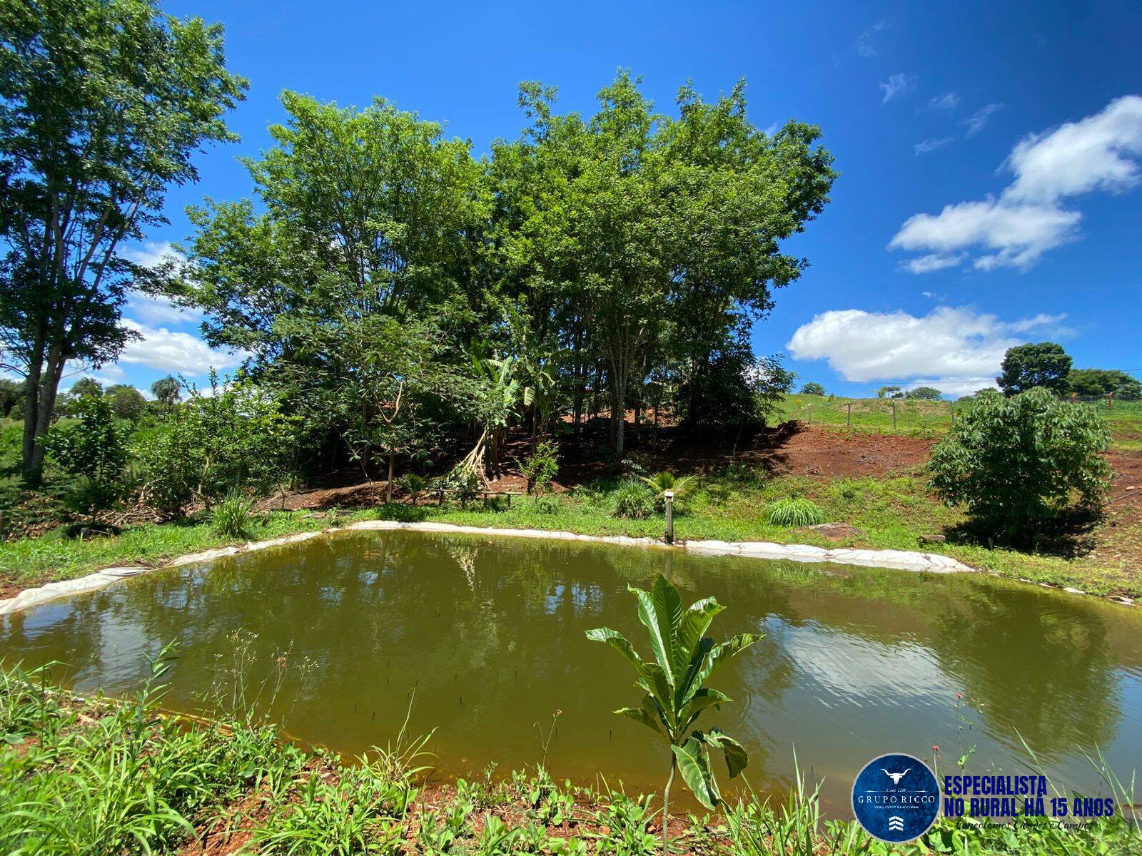 Terreno à venda, 4000m² - Foto 3