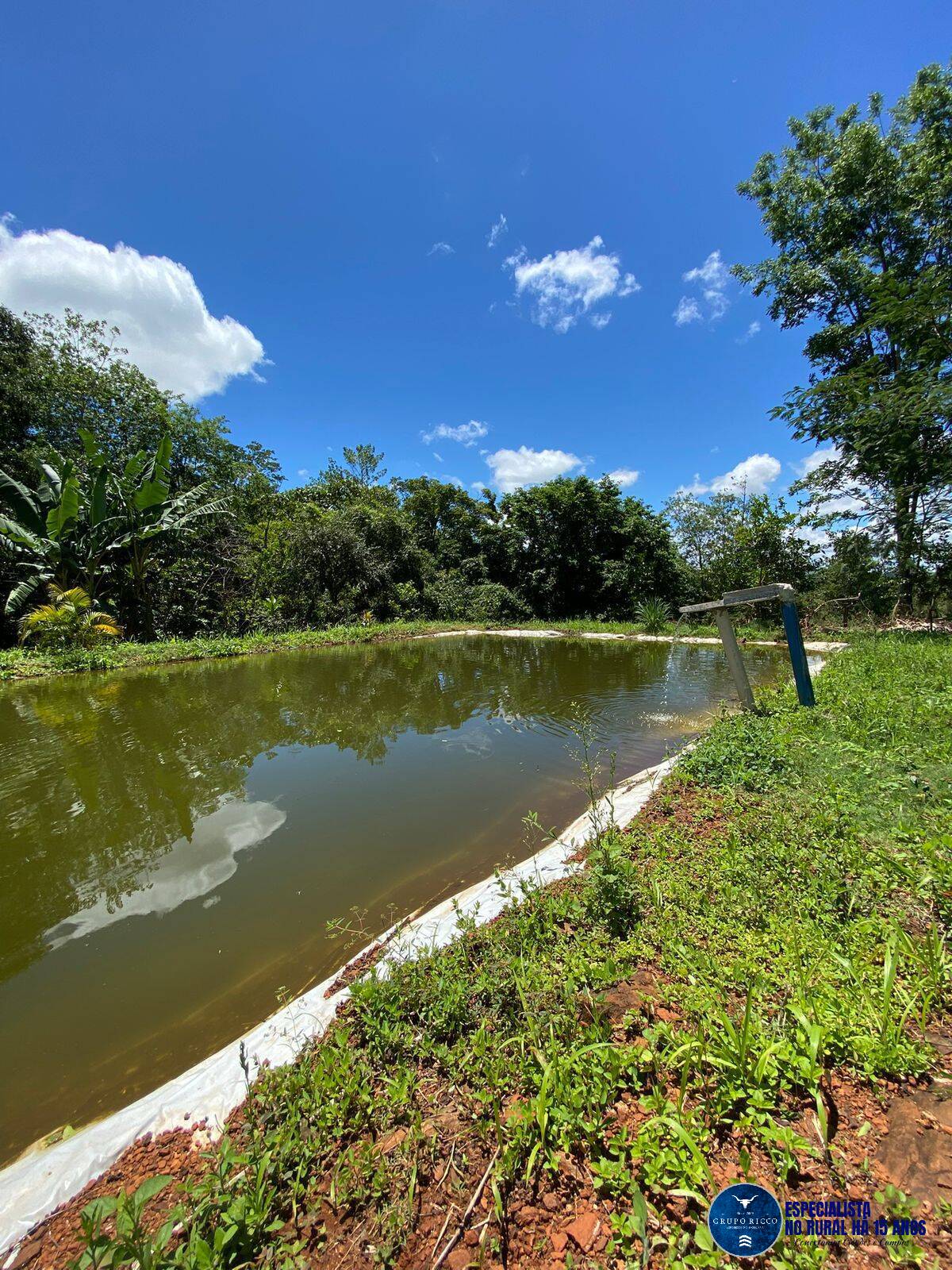 Terreno à venda, 4000m² - Foto 6