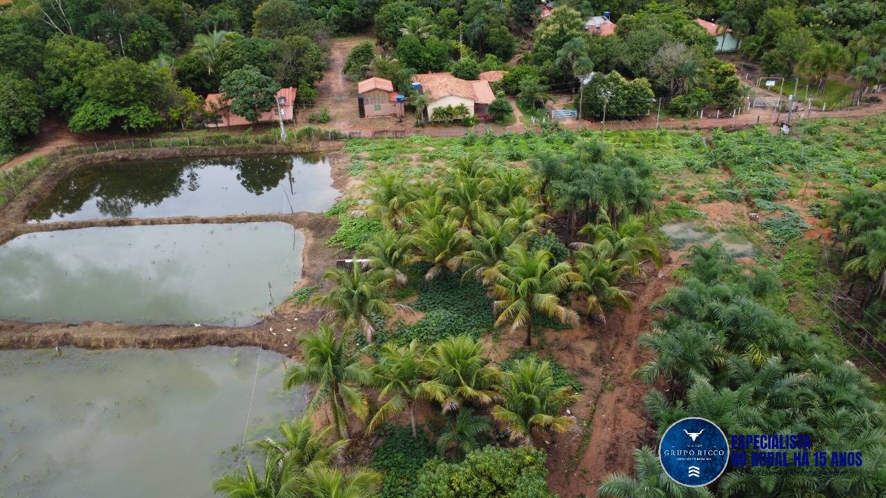 Prédio Inteiro à venda, 20000m² - Foto 6