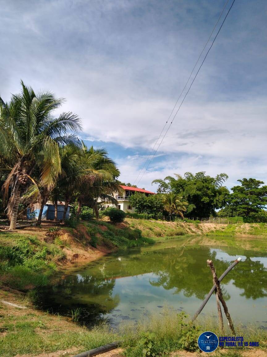 Prédio Inteiro à venda, 20000m² - Foto 9