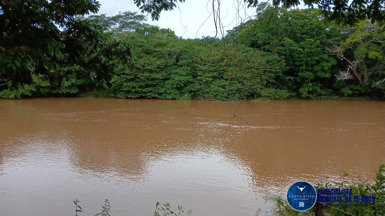 Prédio Inteiro à venda, 20000m² - Foto 10