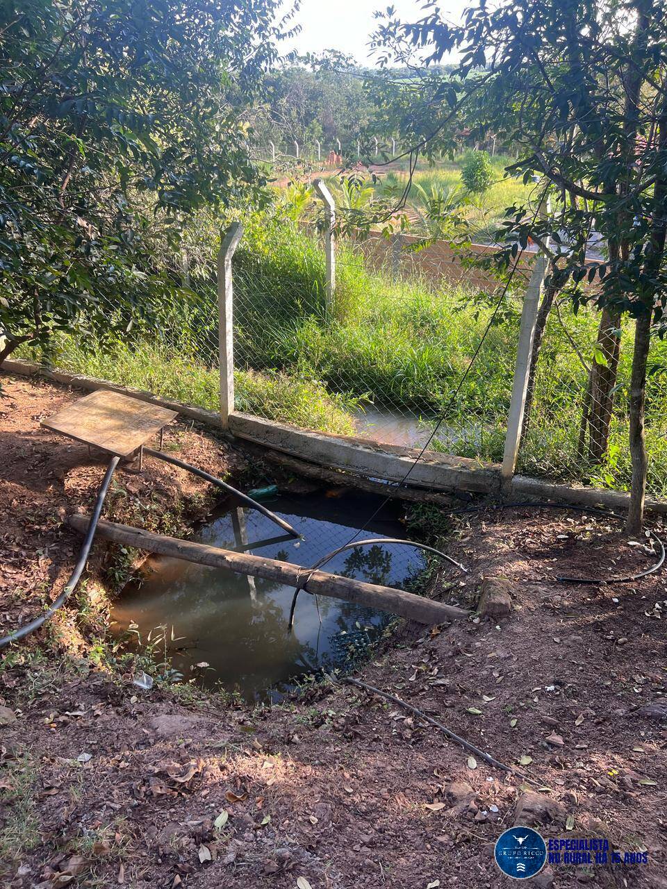 Terreno à venda, 4000m² - Foto 6