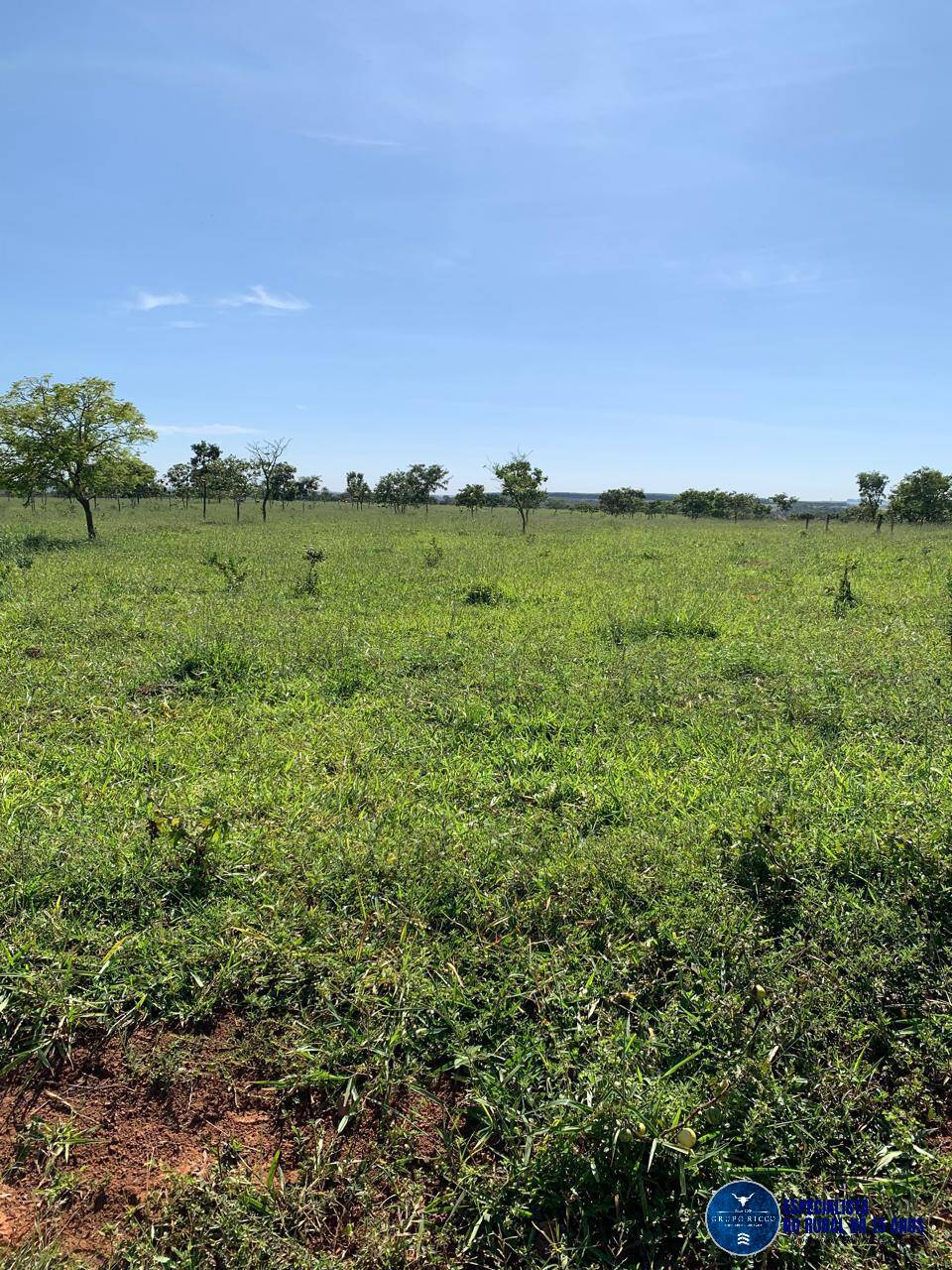 Terreno à venda, 64m² - Foto 5