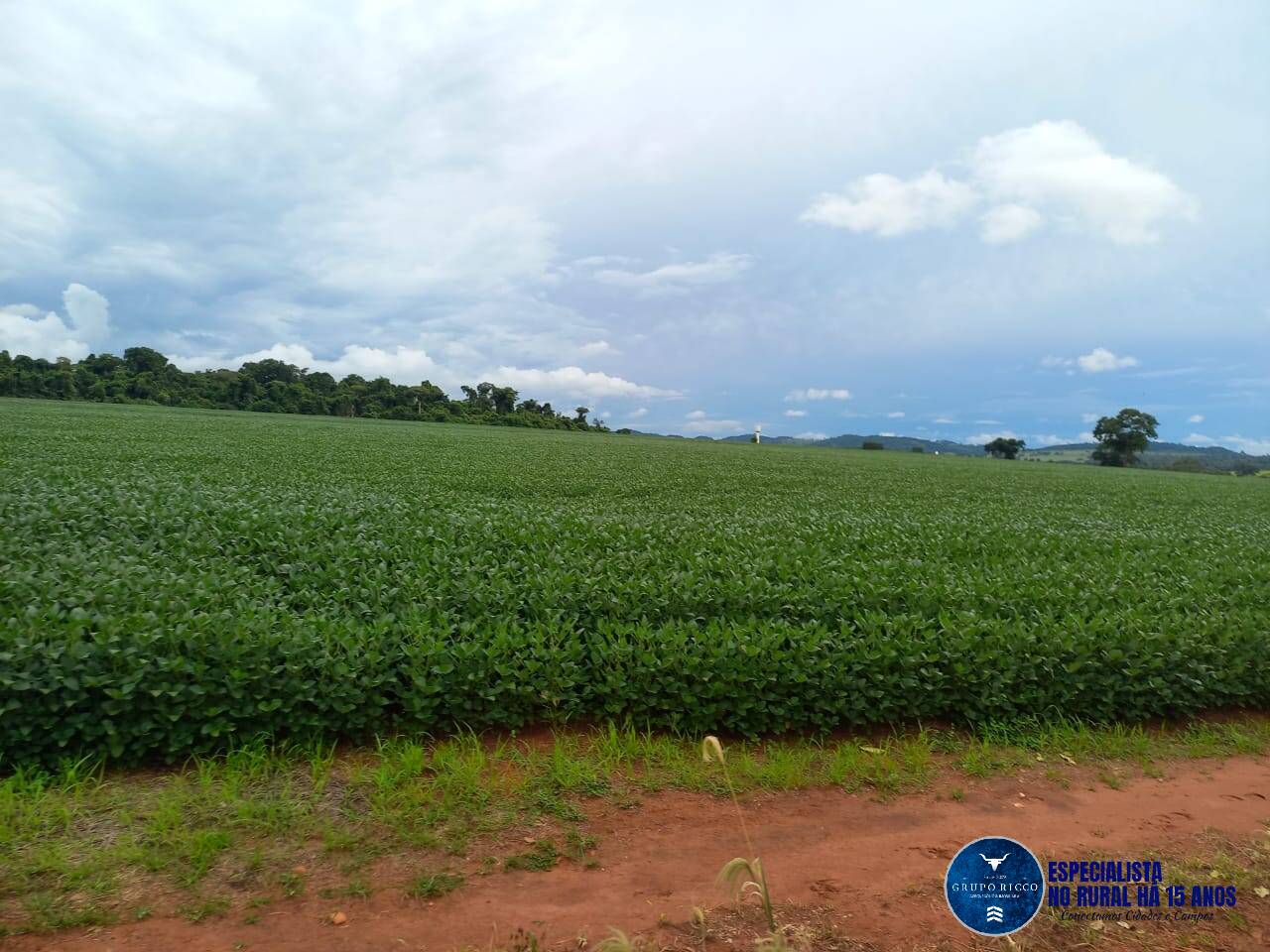 Terreno à venda, 60m² - Foto 3