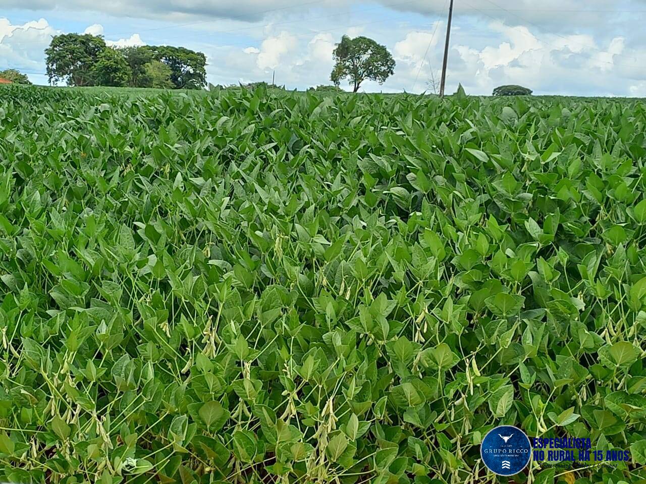 Terreno à venda, 60m² - Foto 4