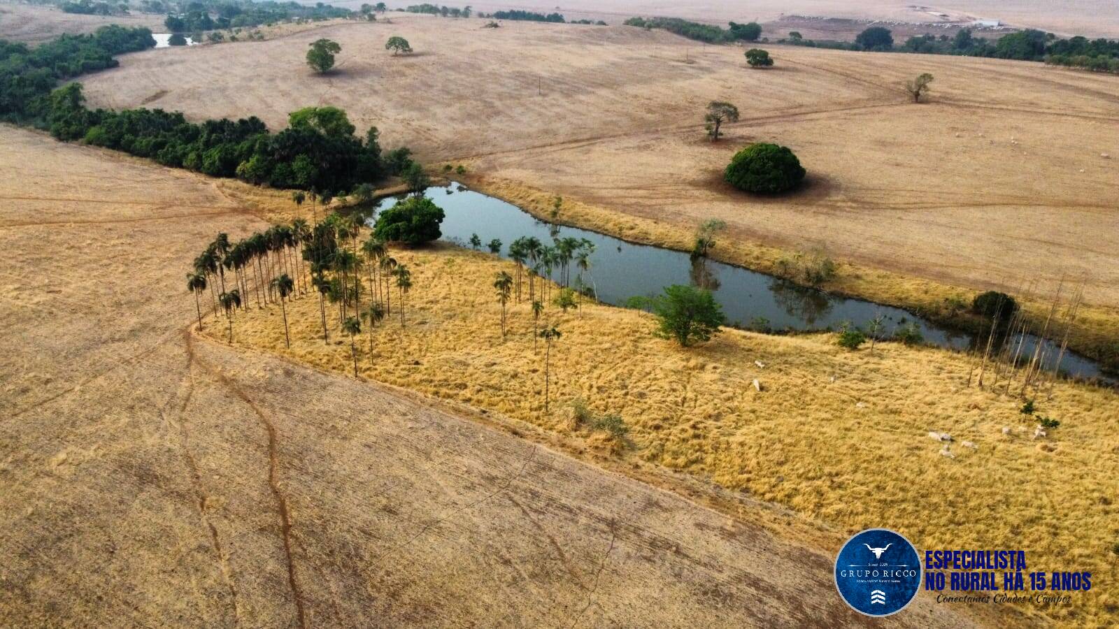 Terreno à venda, 40m² - Foto 1