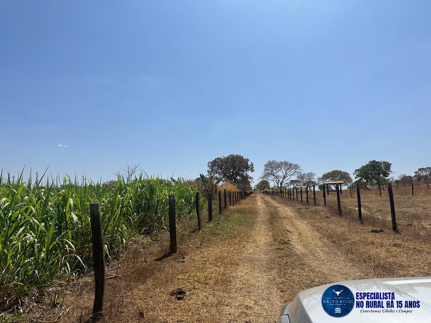 Terreno à venda, 30000m² - Foto 6