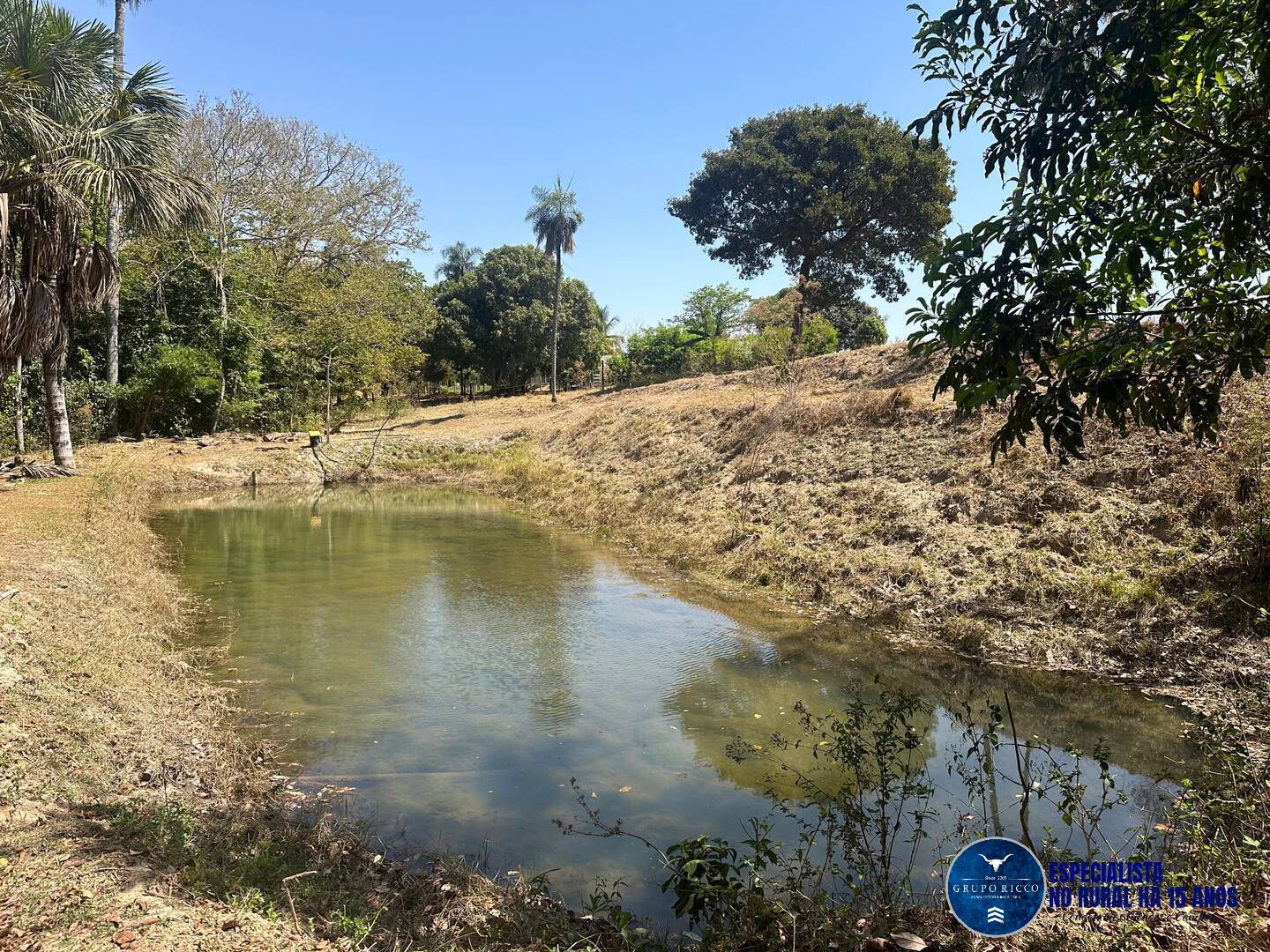 Terreno à venda, 30000m² - Foto 14