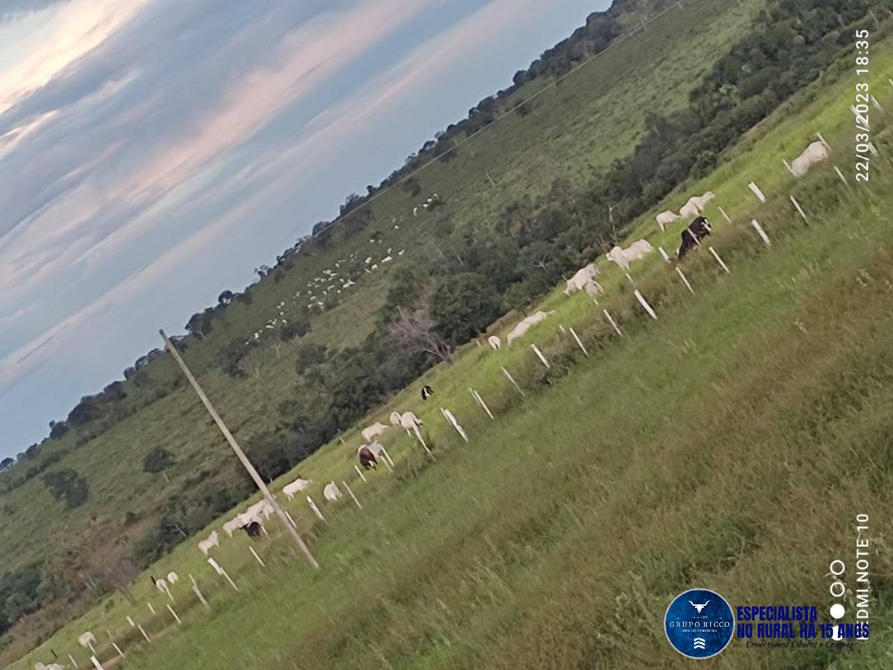 Terreno à venda, 121m² - Foto 7