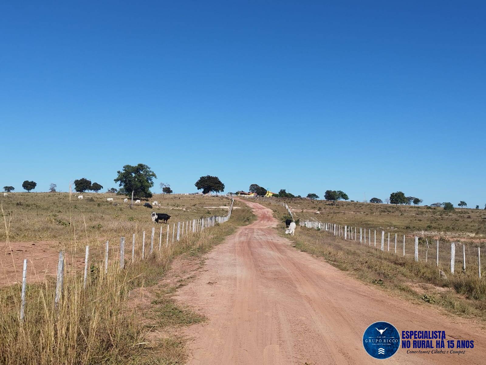 Terreno à venda, 121m² - Foto 12